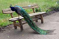 Sommerfest im Tierpark